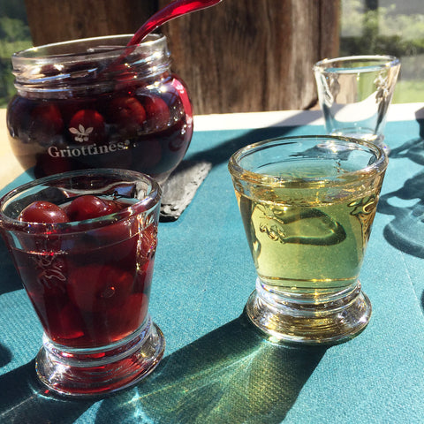 Lot de 6 shooters ABEILLE Little Bee - transparent