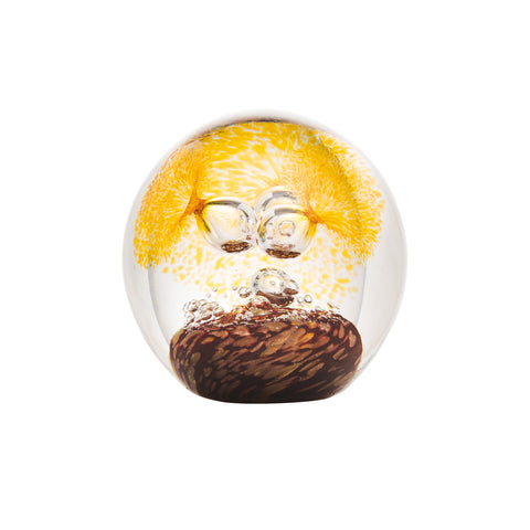 Presse-papier marron RIVAGES - transparent, jaune et marron