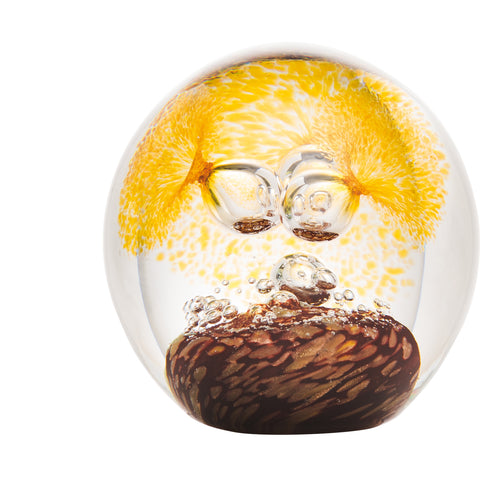 Presse-papier marron RIVAGES - transparent, jaune et marron